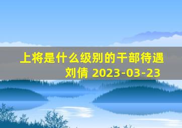 上将是什么级别的干部待遇 刘倩 2023-03-23